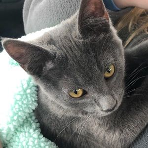 Meet your Posher, Mia